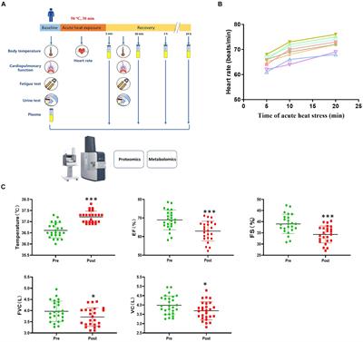 Dynamic molecular choreography induced by acute heat exposure in human males: a longitudinal multi-omics profiling study